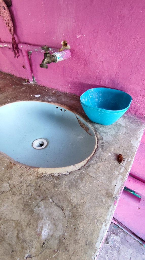 Campeche y una Cucaracha